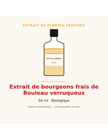 Extrait de bourgeons frais de Bouleau verruqueux bio - 50 ml