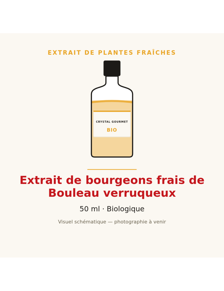 Extrait de bourgeons frais de Bouleau verruqueux bio - 50 ml