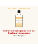 Extrait de bourgeons frais de Bouleau verruqueux bio - 50 ml