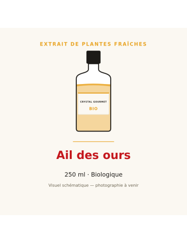 Extrait de plantes fraîches d'Ail des ours bio - 250 ml