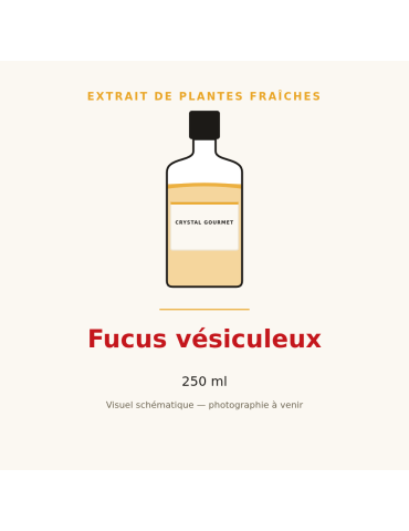 Extrait de plantes fraîches de Fucus vésiculeux - 250 ml