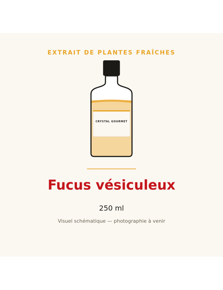 Extrait de plantes fraîches de Fucus vésiculeux - 250 ml