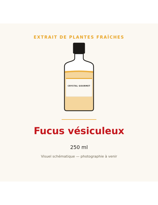 Extrait de plantes fraîches de Fucus vésiculeux - 250 ml