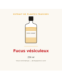 Extrait de plantes fraîches de Fucus vésiculeux - 250 ml