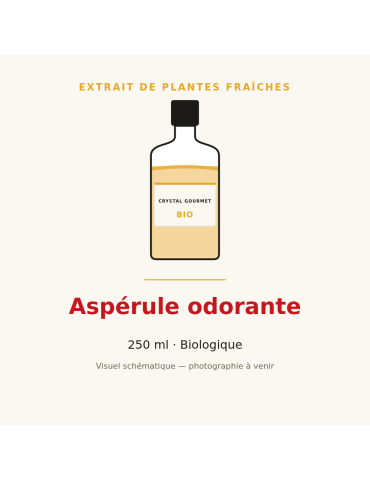 Extrait de plantes fraîches d'Aspérule odorante bio - 250 ml