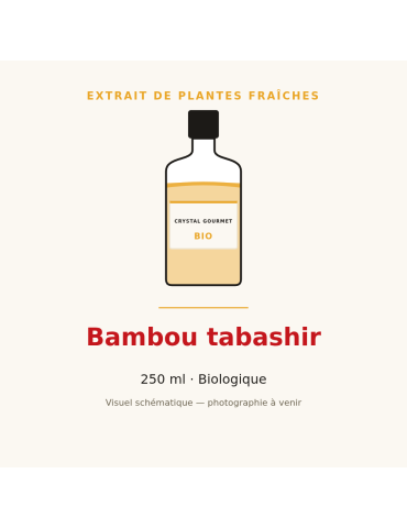 Extrait de plantes fraîches de Bambou tabashir bio - 250 ml