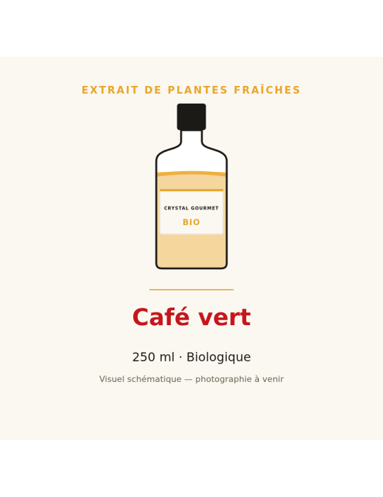Extrait de plantes fraîches de Café vert bio - 250 ml