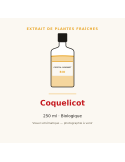 Extrait de plantes fraîches de Coquelicot bio - 250 ml