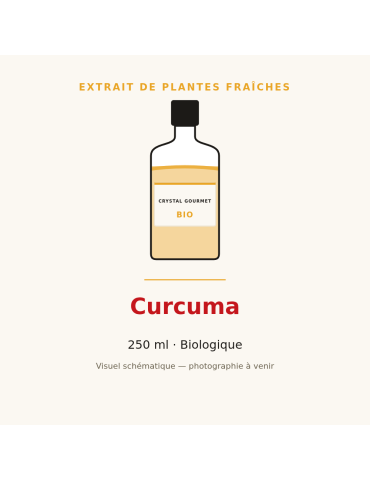Extrait de plantes fraîches de Curcuma bio - 250 ml