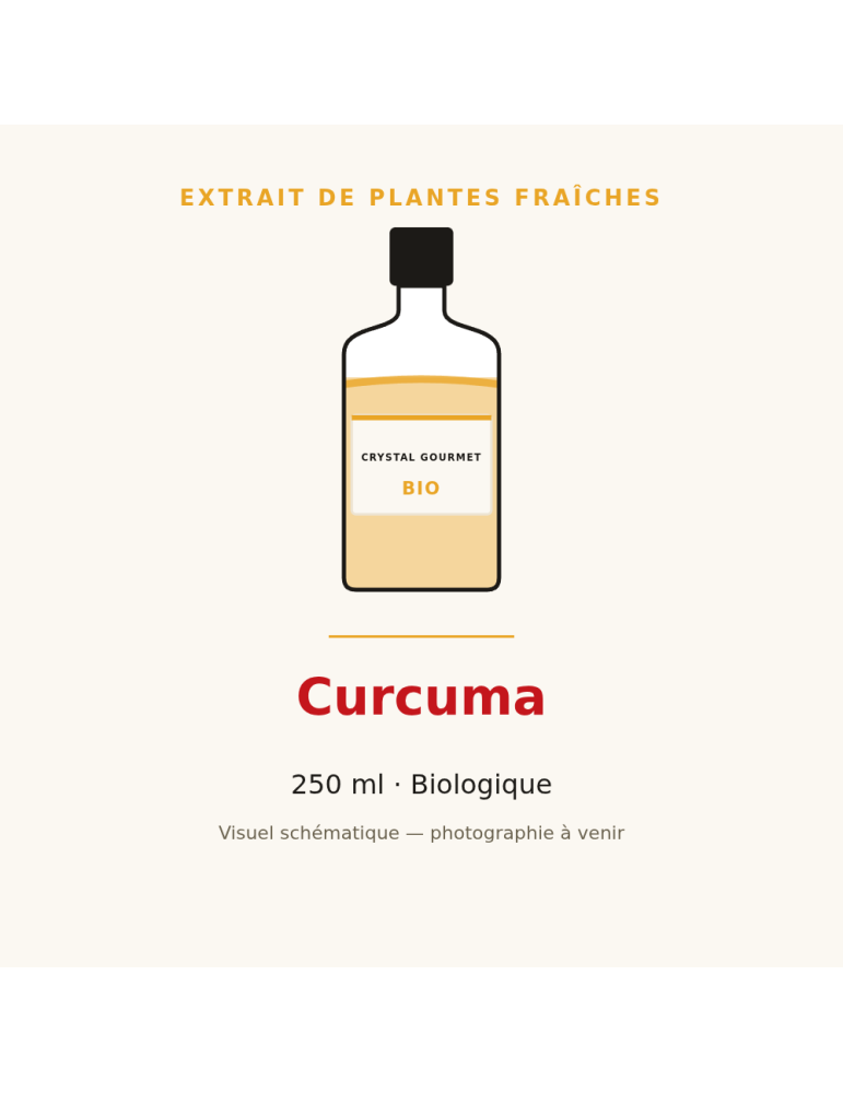 Extrait de plantes fraîches de Curcuma bio - 250 ml