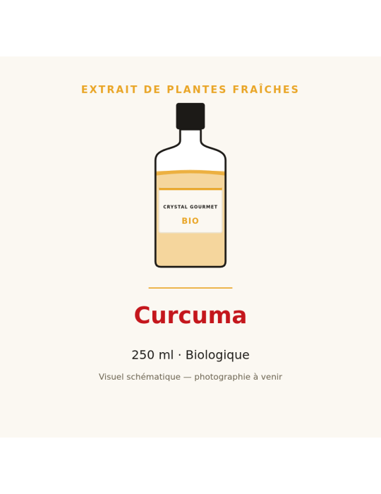 Extrait de plantes fraîches de Curcuma bio - 250 ml