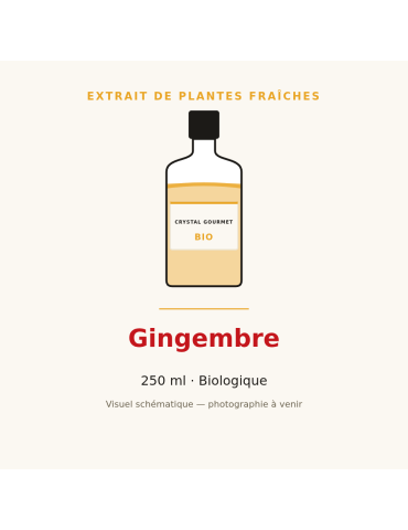 Extrait de plantes fraîches de Gingembre bio - 250 ml
