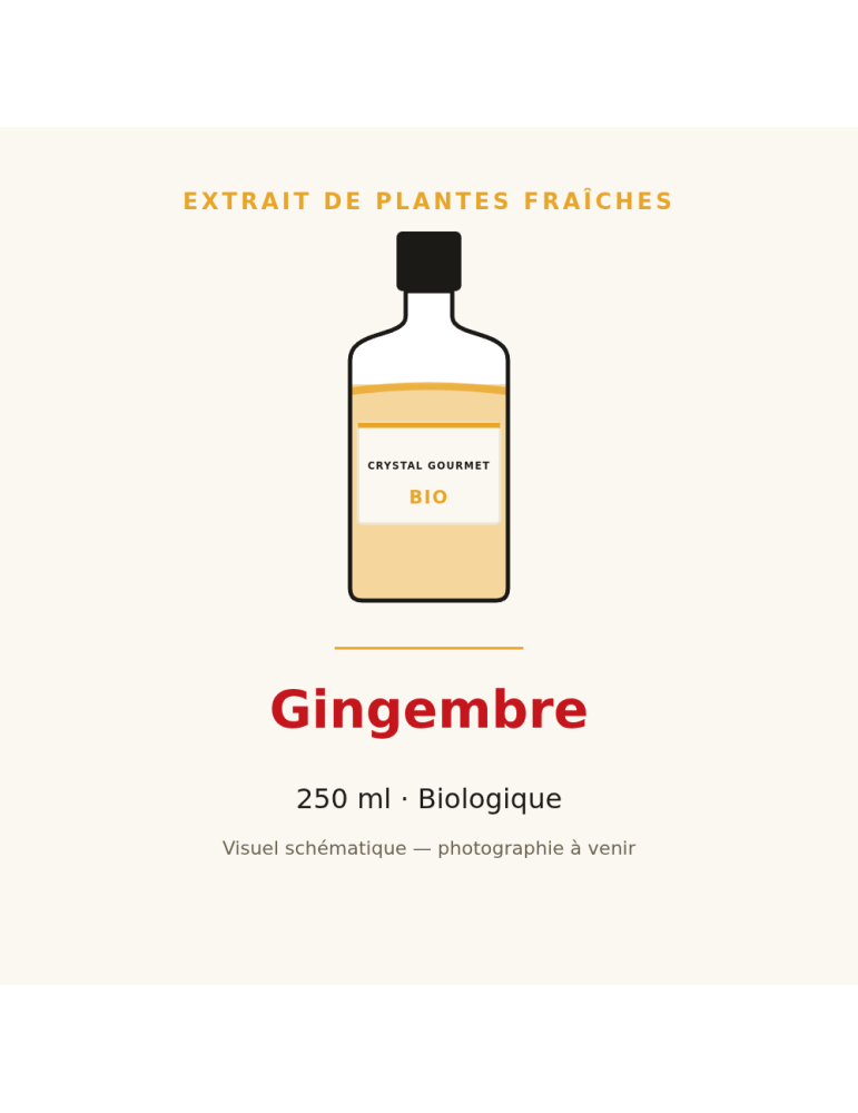 Extrait de plantes fraîches de Gingembre bio - 250 ml