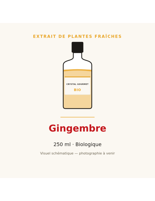 Extrait de plantes fraîches de Gingembre bio - 250 ml