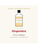 Extrait de plantes fraîches de Gingembre bio - 250 ml