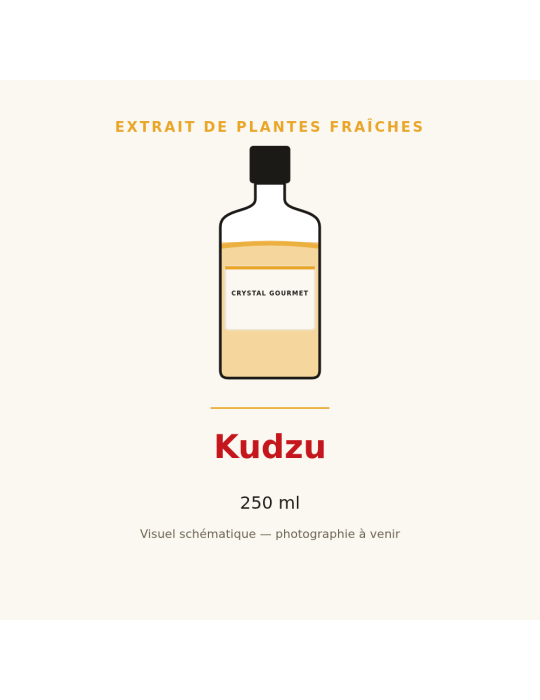 Extrait de plantes fraîches de Kudzu - 250 ml