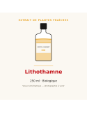 Extrait de plantes fraîches de Lithothamne bio - 250 ml