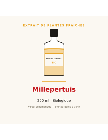 Extrait de plantes fraîches de Millepertuis bio - 250 ml