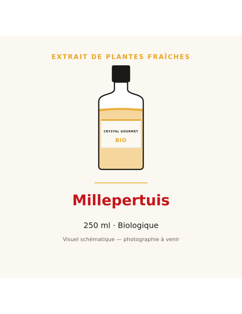 Extrait de plantes fraîches de Millepertuis bio - 250 ml