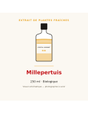 Extrait de plantes fraîches de Millepertuis bio - 250 ml