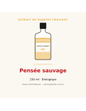 Extrait de plantes fraîches de Pensée sauvage bio - 250 ml