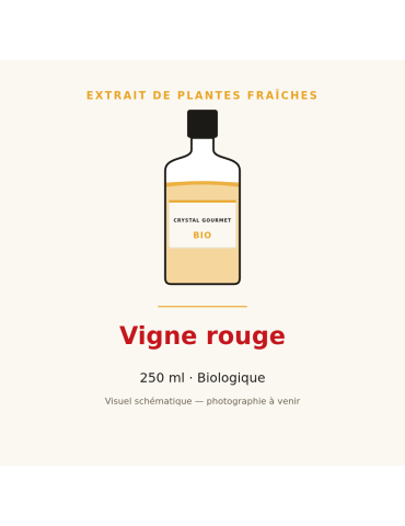Extrait de plantes fraîches de Vigne rouge bio - 250 ml