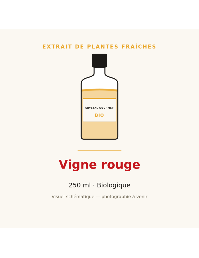 Extrait de plantes fraîches de Vigne rouge bio - 250 ml