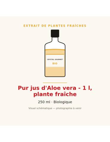 Pur jus d'Aloe vera bio - 1 l