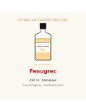 Extrait de plantes fraîches de Fenugrec bio - 250 ml