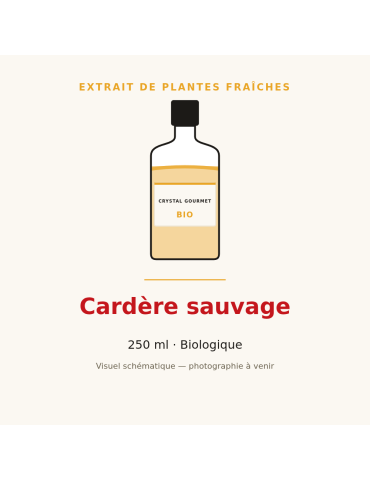 Extrait de plantes fraîches de Cardère sauvage bio - 250 ml
