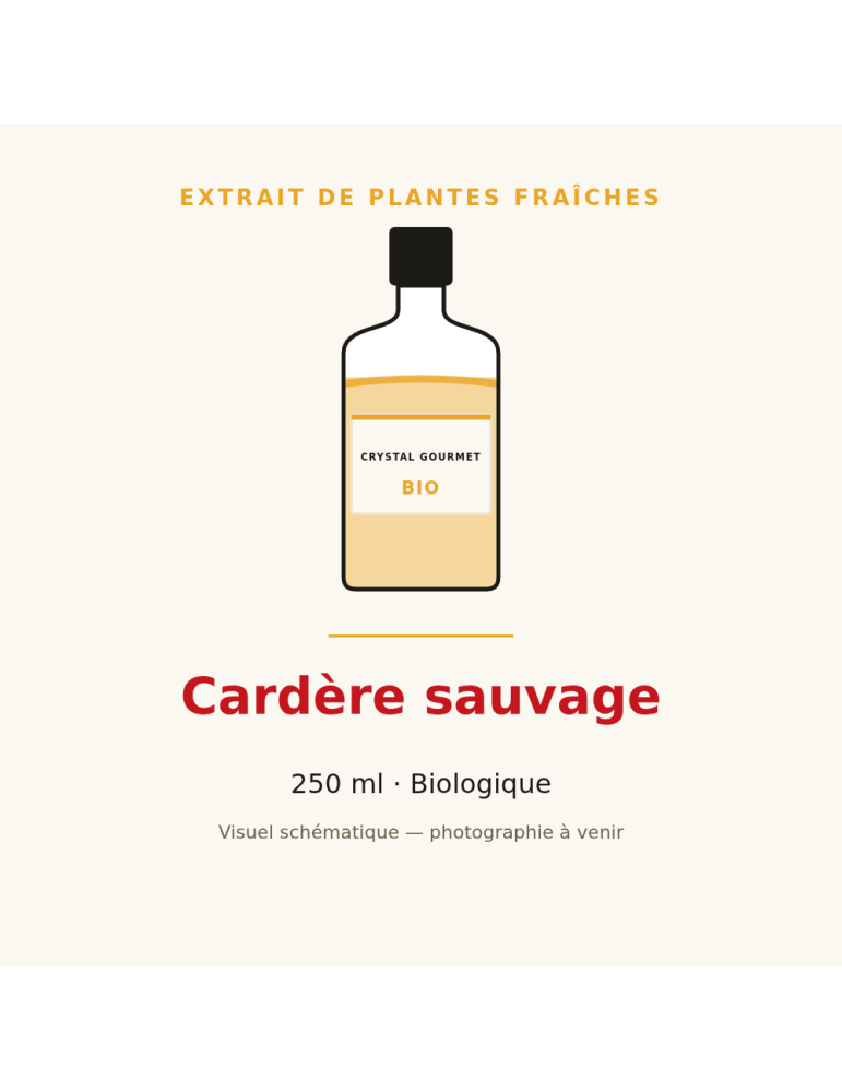 Extrait de plantes fraîches de Cardère sauvage bio - 250 ml