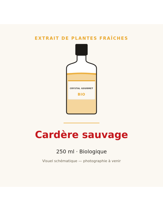 Extrait de plantes fraîches de Cardère sauvage bio - 250 ml