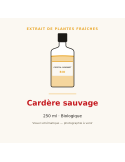Extrait de plantes fraîches de Cardère sauvage bio - 250 ml