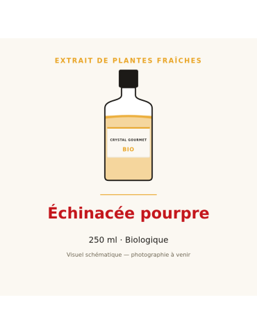 Extrait de plantes fraîches d'Échinacée pourpre bio - 250 ml
