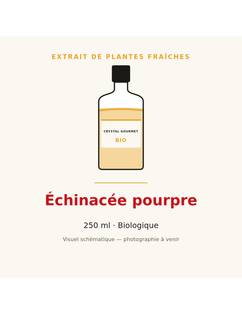 Extrait de plantes fraîches d'Échinacée pourpre bio - 250 ml