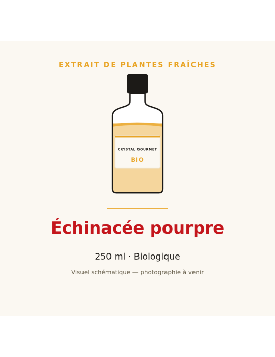 Extrait de plantes fraîches d'Échinacée pourpre bio - 250 ml
