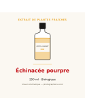 Extrait de plantes fraîches d'Échinacée pourpre bio - 250 ml