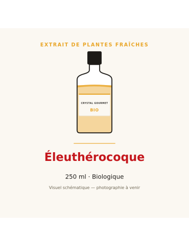 Extrait de plantes fraîches d'Éleuthérocoque bio - 250 ml