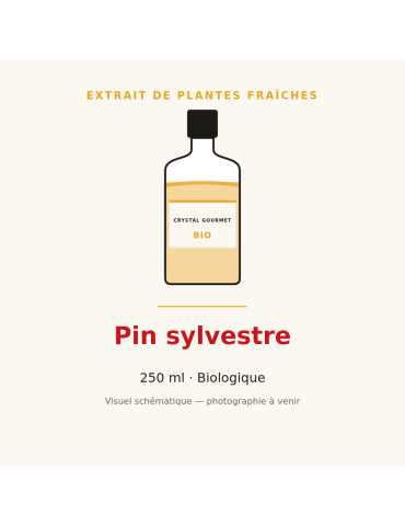 Extrait de plantes fraîches de Pin sylvestre bio - 250 ml