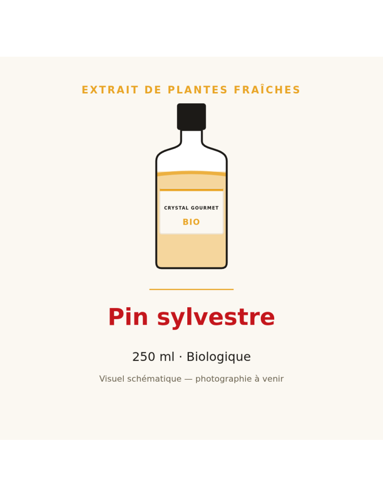 Extrait de plantes fraîches de Pin sylvestre bio - 250 ml