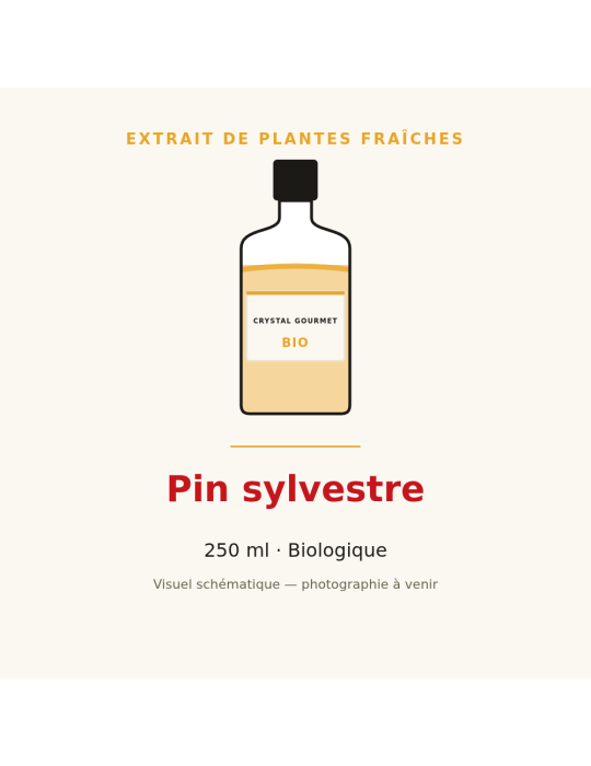 Extrait de plantes fraîches de Pin sylvestre bio - 250 ml