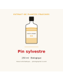Extrait de plantes fraîches de Pin sylvestre bio - 250 ml