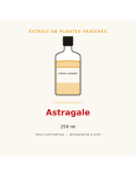 Extrait de plantes fraîches d'Astragale - 250 ml