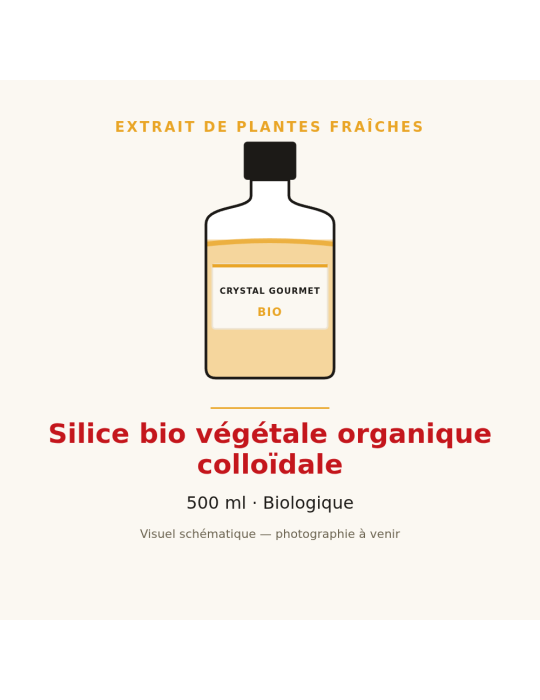 Silice bio végétale organique colloïdale - 500 ml