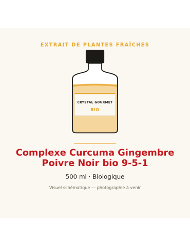 Curcuma Gingembre Poivre Noir bio 9-5-1 - extrait plantes fraîches