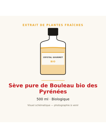 Sève pure de Bouleau bio des Pyrénées - 500 ml