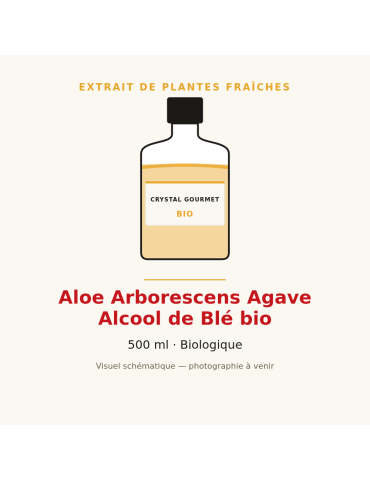 Aloe Arborescens Agave Alcool de Blé bio - 500 ml