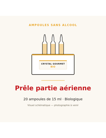 Prêle partie aérienne bio en ampoules - 20 x 15 ml