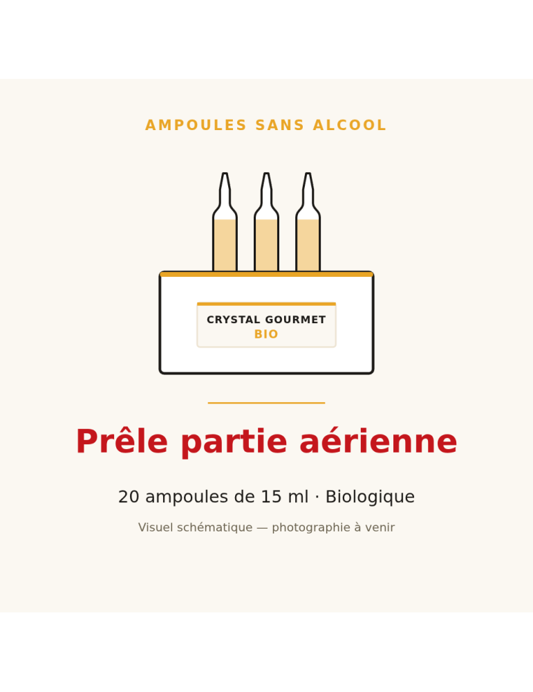 Prêle partie aérienne bio en ampoules - 20 x 15 ml