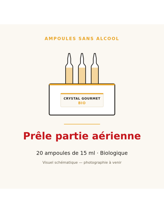 Prêle partie aérienne bio en ampoules - 20 x 15 ml
